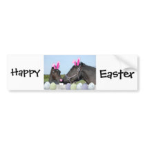 Easte Pony and Horse Bumper Sticker