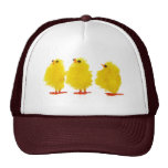Easter baby chicks Hat