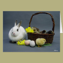 Easter Basket cards