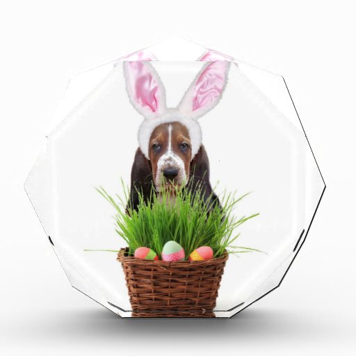 Easter Basset Hound dog Award