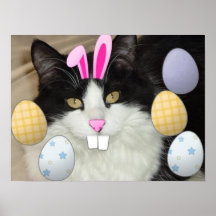 Easter Black and White Cat Posters