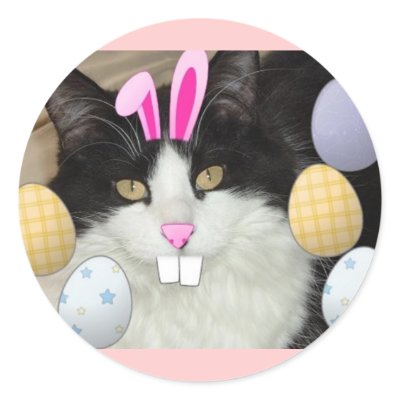 Easter Black and White Cat round sticker