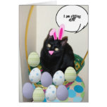 Easter Black Cat Greeting Cards