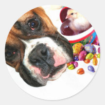 Easter Boxer puppy and Chick large stickers