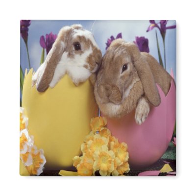 Easter Bunnies In Eggs Easter pics of easter bunnies and eggs. Easter Bunnies In Eggs Easter