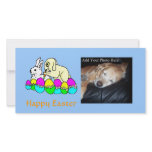 Easter Bunnies Photo Card