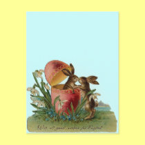 Easter bunnies with pink egg postcards