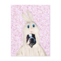 Easter bunny boston terrier postcard by ritmoboxer Easter bunny boston terrier postcard