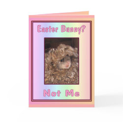 Easter Bunny? Card card