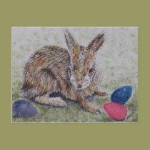 Easter Bunny Card postcards