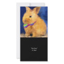 Easter Bunny Collectible Photo Card by jaisjewels