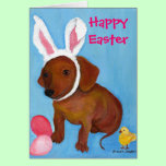 Easter Bunny Dachshund 2010 Card cards