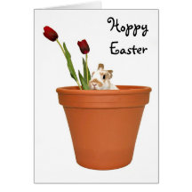 Easter Bunny Greeting Card