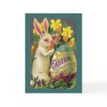 Easter Bunny Greetings Greeting Cards