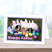 Easter Bunny Guinea Pig Card