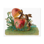 Easter Bunny Kiss Postcard