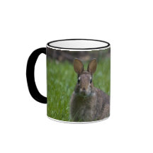 Easter Bunny? Mug
