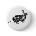 Easter Bunny Poo buttons