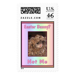 Easter Bunny? Postage stamp