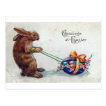 Easter Bunny Postcards