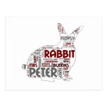 Easter Bunny Rabbit Postcard