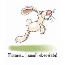 Easter Bunny t-shirt