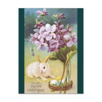 Easter Bunny & Violets postcards