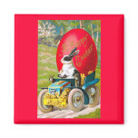 Easter Bunny With Cool Car magnets