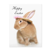 Easter Bunny's bonnet postcards by deemac1 Easter Bunny's bonnet postcards