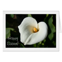 Easter Cana Lily greeting card