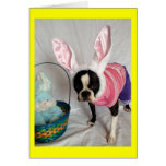 Easter Card with Boston Terrier Bunny