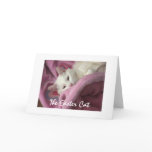 Easter Cat Greeting Cards