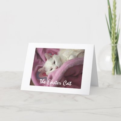 Easter Cat Greeting Cards