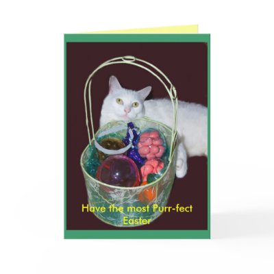 Easter Cat Card