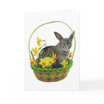 Easter Cat in Daffodils Card cards