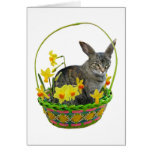 Easter Cat in Daffodils Card