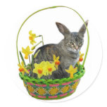 Easter Cat in Daffodils Sticker stickers