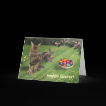 Easter Cats ;-) cards