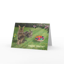 Easter Cats ;-) Card