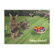 Easter cats ;-) postcard