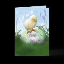 Easter Chick Card cards