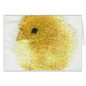 Easter Chick Card by jesterbryanc Easter Chick Card