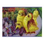 Easter Chick Greetings Post Cards