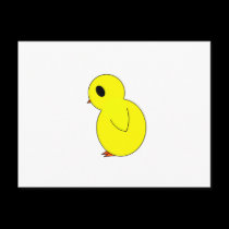 Easter Chick postcards
