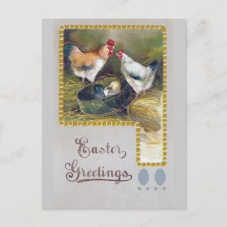Easter Chicken Family postcard