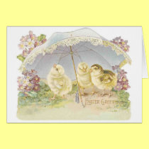 easter chicks bright cards