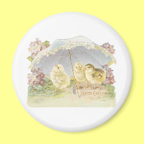 easter chicks bright magnets
