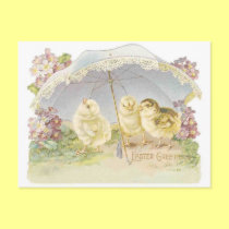 easter chicks bright postcards