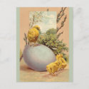Easter - Chicks Egg PussyWillow- Antique Postcard postcard