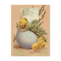 Easter - Chicks Egg PussyWillow- Antique Postcard postcard